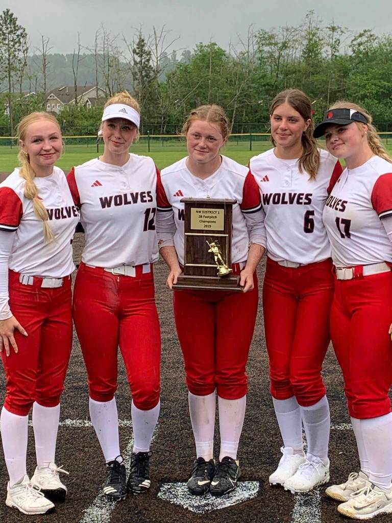 CHS sluggers, from left, are Taylor Brotemarkle, Jada Heaton, Teagan Calkins, Mia Farris, and Madison McMillan made it to state in volleyball and softball this year. (Grant Van Dyke photo)