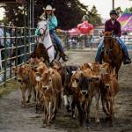 Photo by David Welton