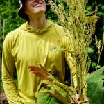 Photo by David Welton
Mike Gerhardt is showered by seeds from the Chinese rhubarb plant.