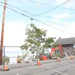 Large trees had to be cut down on Front Street in Coupeville after midden was found during a boardwalk project. (Photo by Marina Blatt)