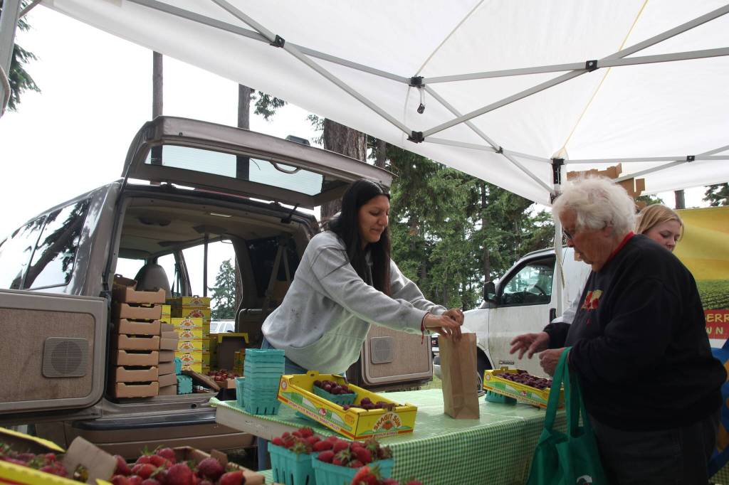 Photos by Marina Blatt
Lizbeth Cisneros Garcia works for Sunrise Local Berry Farm.