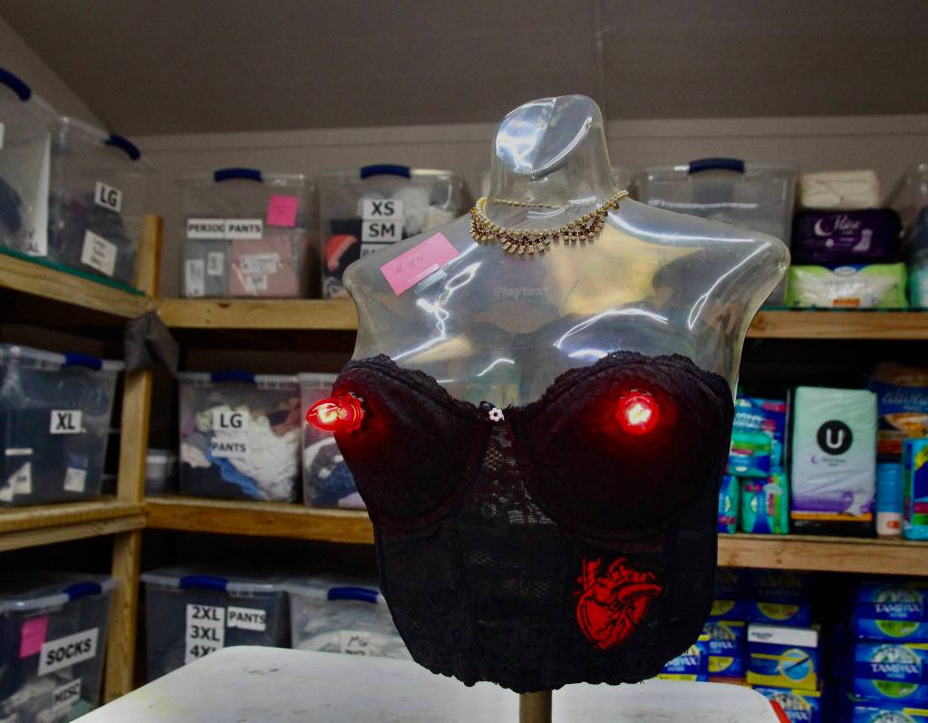 Choose Me, No Choose Me, by Rod (Photo by Marina Blatt)