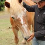 Rhed pets Joel, one of many horses at Big Rhed Barn.