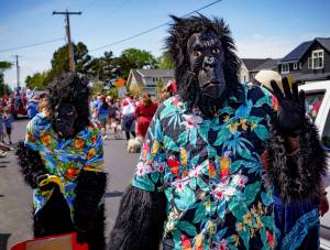 These gorillas went bananas for the Fourth of July parade.