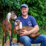 (Photo by David Welton) David Ross with Chamomile and an unnamed buck who may join his pack boys when he grows up.