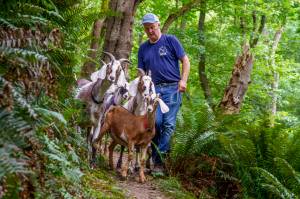 Photo by David Welton