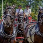 Photo by David Welton
Animals always play an important role in the Whidbey Island Fair.