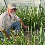 Photo provided by John Burks