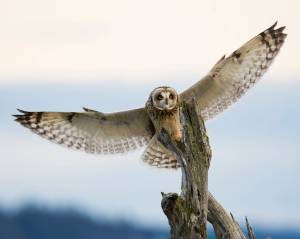 Photo by Jennifer Holmes