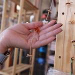(Photo by Marina Blatt) Kilpatrick holds up an orange garland.