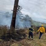 (Photo by South Whidbey Fire/EMS) A tree that hit a power line caused a brush fire Sunday afternoon.