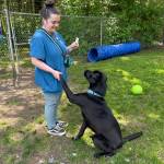 (Photo by Mary Jo Adams) Levi shakes hands with dog trainer Sam Thomson.