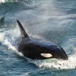 Photo by Sarah Geist