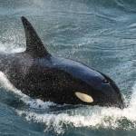 Photo by Sarah Geist