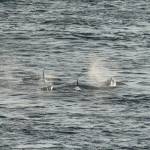 Photo by Sarah Geist