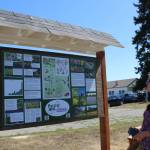 (Photo by Allyson Ballard) Murietta Mitschak said she has been inspired to get more involved with environmental actions since she joined the Pacific Rim Institute.