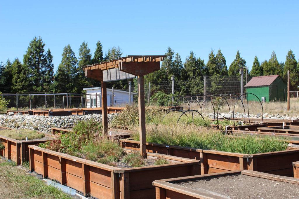 (Photo by Allyson Ballard) The institutes native plant center includes a greenhouse, shade area and nursery beds, all used to grow more than 50 species of rare and threatened native plants.