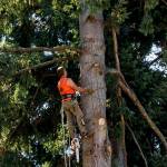 Photo by David Welton