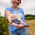 (Photo by David Welton) Mutiny Bay Blueberry Farm will host a farm tour as part of Eat Local Month.