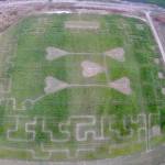 (Photo provided) The corn maze is shaped like a five of hearts. It was designed and cut by Steve Hilborn.