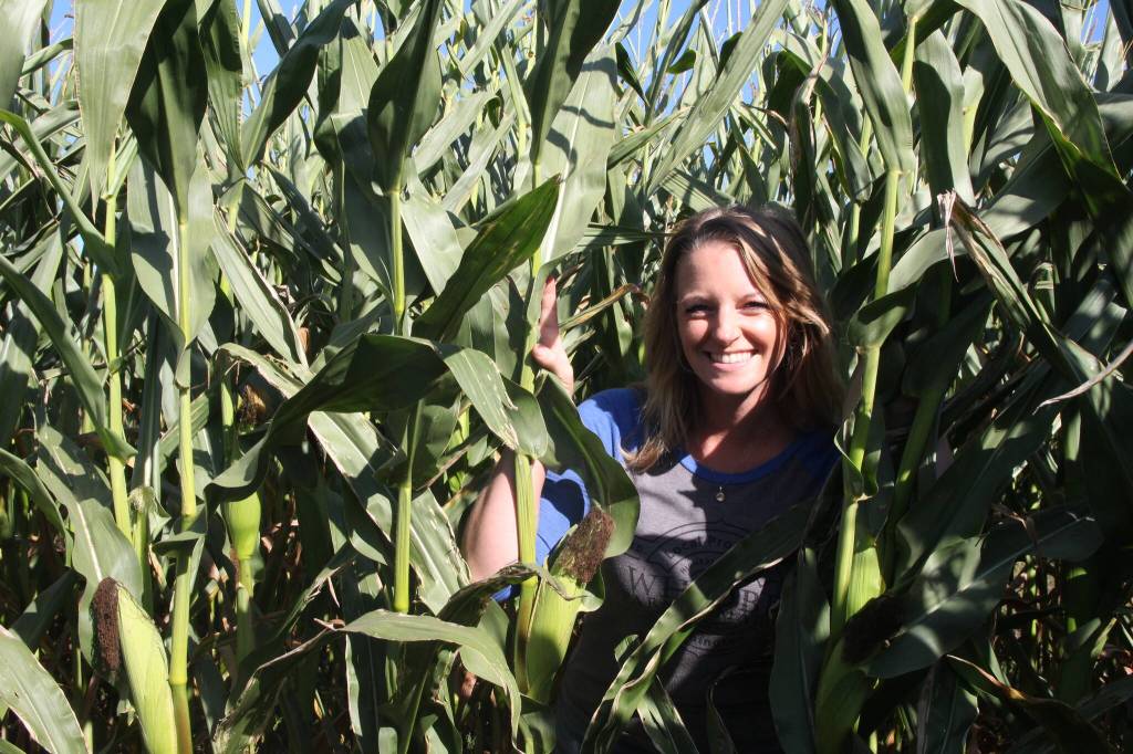 (Photo by Marina Blatt) Shannon Hilborn peeks out from the tall corn stalks in the maze.