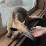 Photo by Payton Wilson