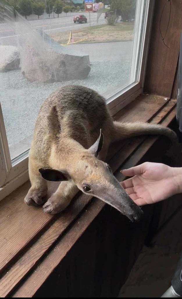 Photo by Payton Wilson