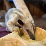 Photo by Payton Wilson