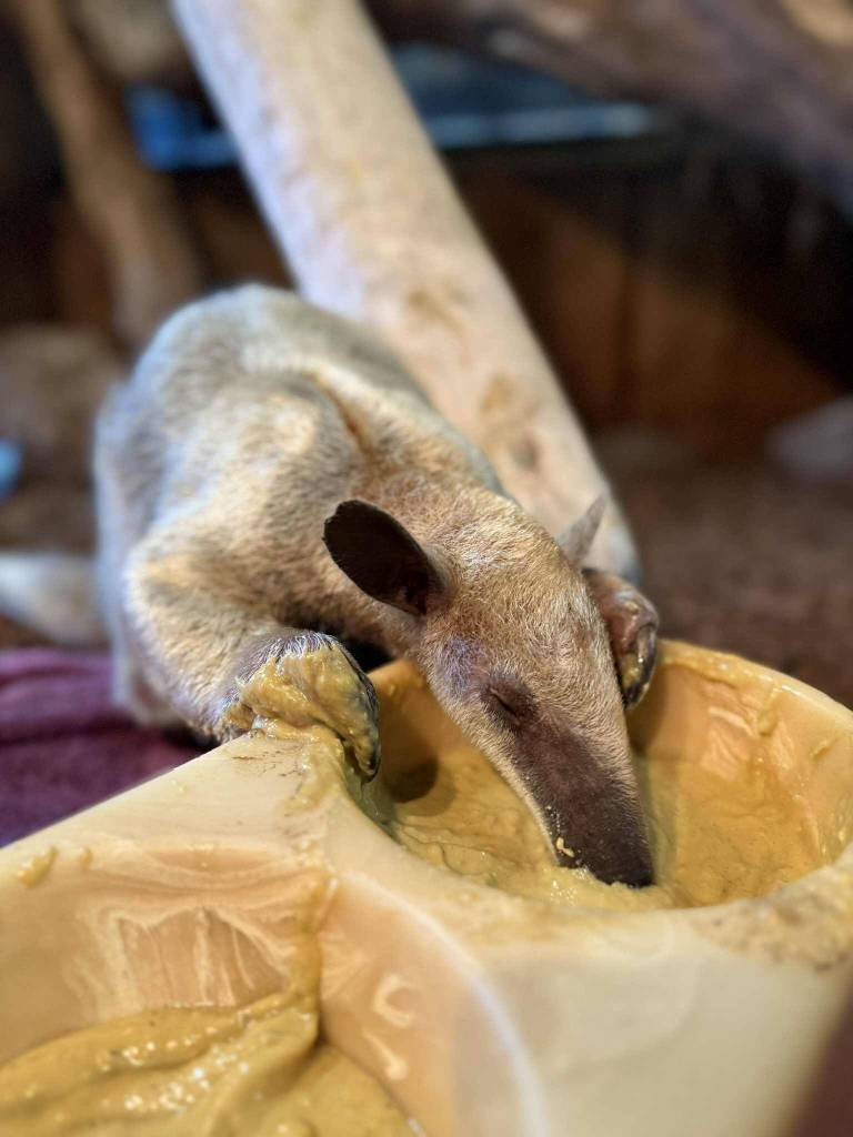 Photo by Payton Wilson