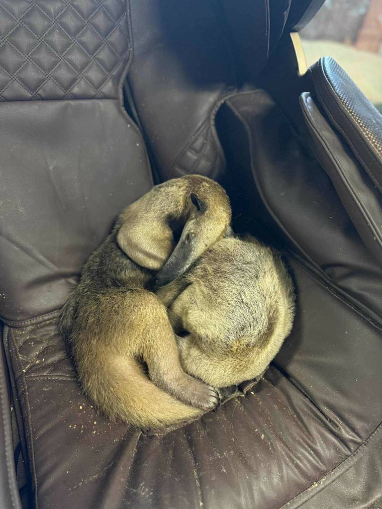 Photo by Payton Wilson