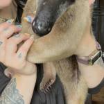 Photo by Payton Wilson