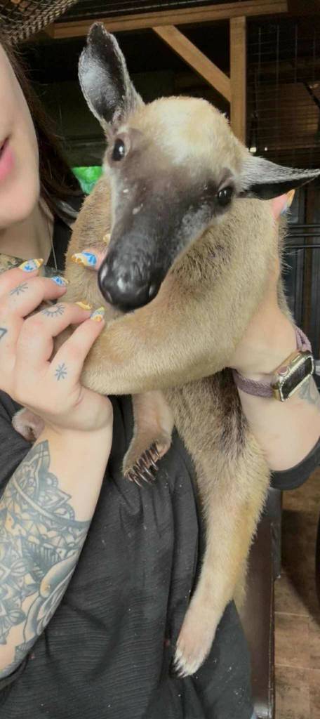 Photo by Payton Wilson