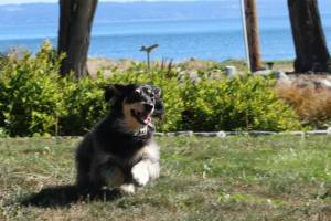 Photo by Allyson Ballard