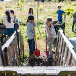 Compost class involves shoveling dirt to be sifted into wheelbarrows during class at South Whidbey Elementary School on Sept. 22, 2025, in Langley, Washington. (Olivia Vanni / The Herald)