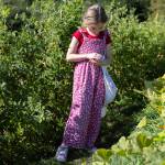 Ayla Brogan gathers cherry tomatoes from the garden during class at South Whidbey Elementary School on Sept. 22, 2025 in Langley, Washington. (Olivia Vanni / The Herald)