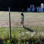 A student walks with fresh cut flowers during class at South Whidbey Elementary School on Sept. 22, 2025 in Langley, Washington. (Olivia Vanni / The Herald)