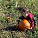 Photo by Beth Chamberlin
Nels Auchterlonie, age 5, uses all of his strength to lift up a pumpkin bigger than his torso.