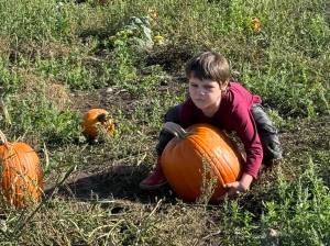 Photo by Beth Chamberlin
Nels Auchterlonie, age 5, uses all of his strength to lift up a pumpkin bigger than his torso.