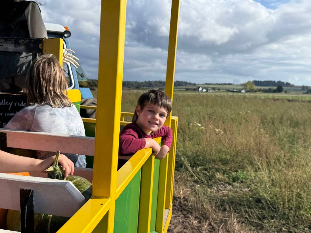 (Photo by Beth Chamberlin) Nels Auchterlonie takes a trolley ride to the pumpkin patch.