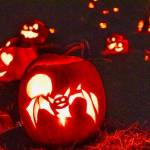 (Photo by Beth Chamberlin) Jack-o-lanterns from a previous pumpkin walk light up the night at Case Farms on Whidbey.