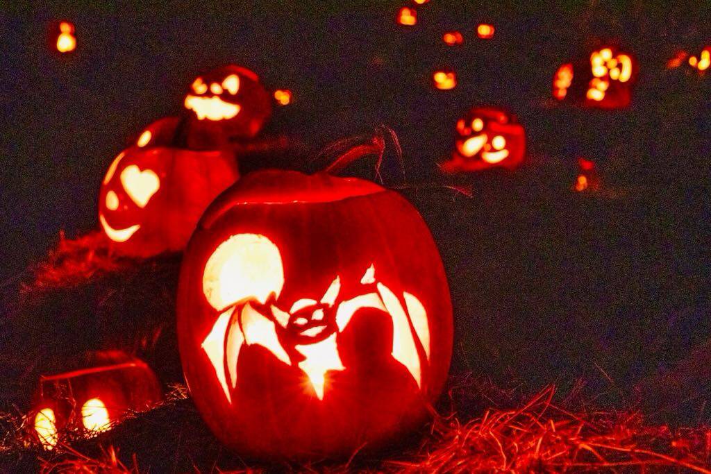 (Photo by Beth Chamberlin) Jack-o-lanterns from a previous pumpkin walk light up the night at Case Farms on Whidbey.