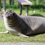 Photo provided by Garry Heinrich