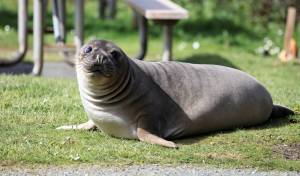 Photo provided by Garry Heinrich