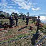 (Photo provided) All hands were on deck to rescue Cosmo. Special equipment for the operation was brought by Navy Fire.