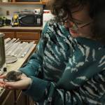 Learning taxidermy takes commitment, Houser said, but is useful for educational purposes and can be a way to honor dead animals. (Photo by Allyson Ballard)