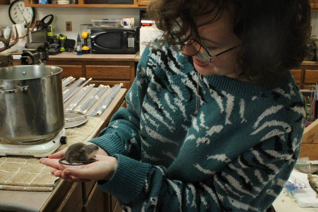 Learning taxidermy takes commitment, Houser said, but is useful for educational purposes and can be a way to honor dead animals. (Photo by Allyson Ballard)