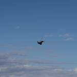 (Photo by Gary Skiff) Martin Anderson looks small compared to the vast sky.