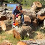 Photo by Sandra Johnson