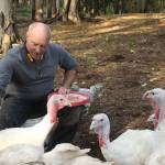 Photo by Marina Blatt. Thomas Boettger said domesticating his turkeys makes them easier to process.