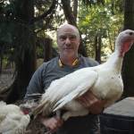 Photo by Marina Blatt